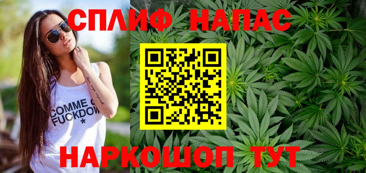 Бошки Шишки семена Чита